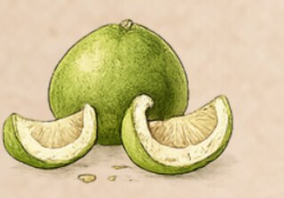 Vỏ bưởi